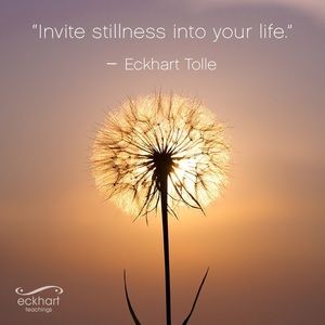 Meet your Posher, Lorraine